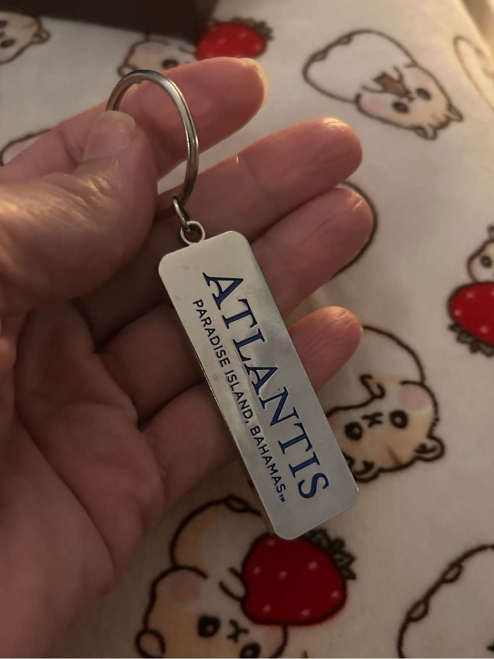 Atlantis Silver Key & Card Holder Keychain with Blue Logo
